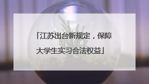 江苏出台新规定，保障大学生实习合法权益